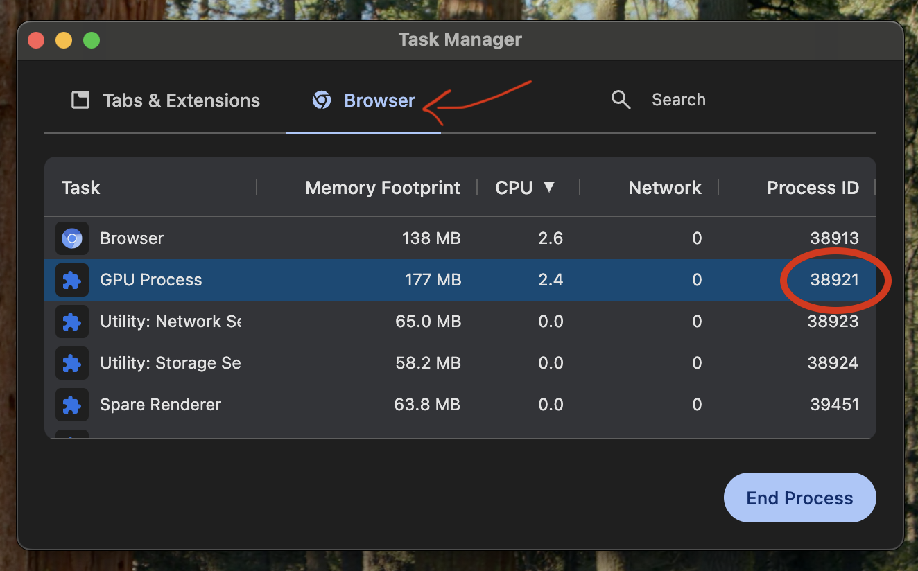 Chrome Task Manager GPU Process